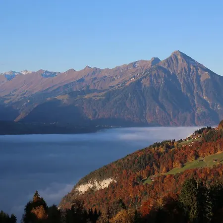 Swiss Mountain View * ベアテンベルク