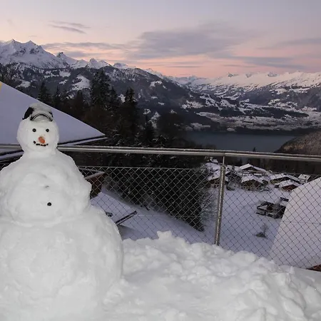 Swiss Mountain View ベアテンベルク