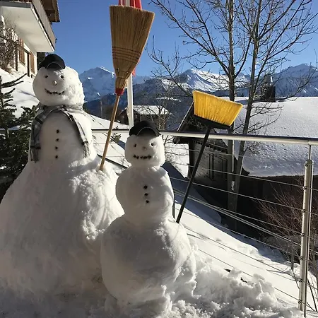 Swiss Mountain View ベアテンベルク