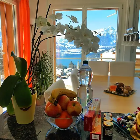 Swiss Mountain View アパート