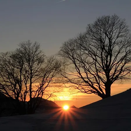 Swiss Mountain View *