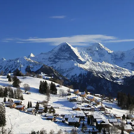Swiss Mountain View Apartment