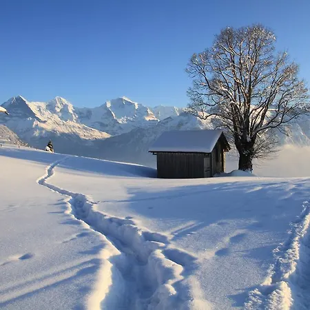Swiss Mountain View