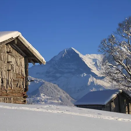 Swiss Mountain View アパート *