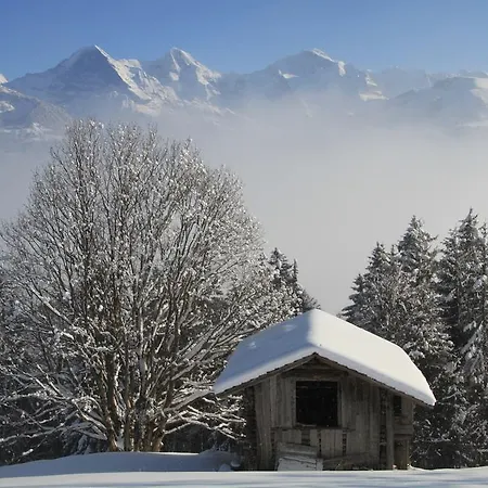 Apartment Swiss Mountain View Beatenberg