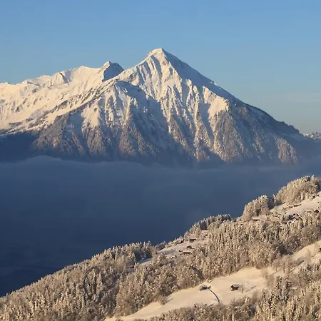 アパート Swiss Mountain View *