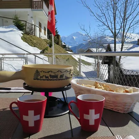 شقة Swiss Mountain View *