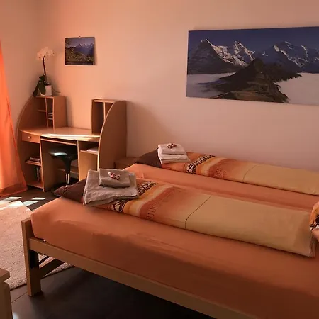 Swiss Mountain View بيتنبرغ