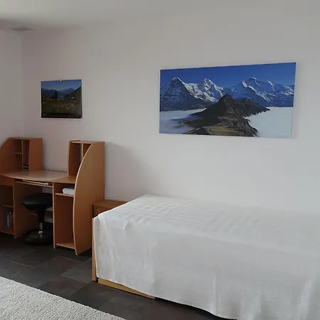 Swiss Mountain View
