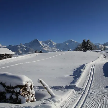 Swiss Mountain View * بيتنبرغ