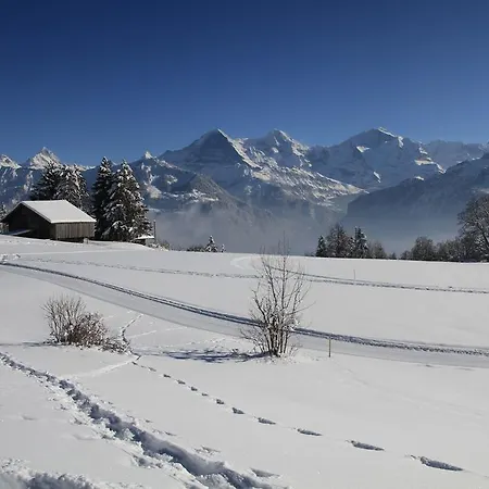 شقة Swiss Mountain View