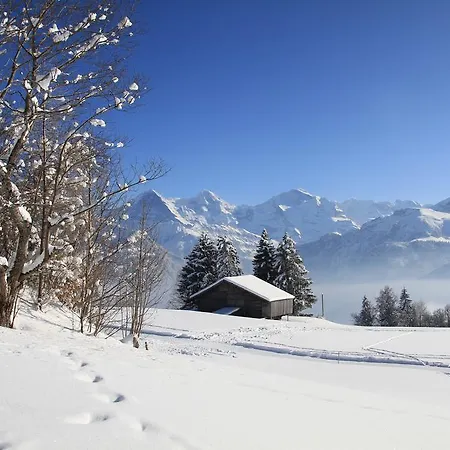 Swiss Mountain View شقة