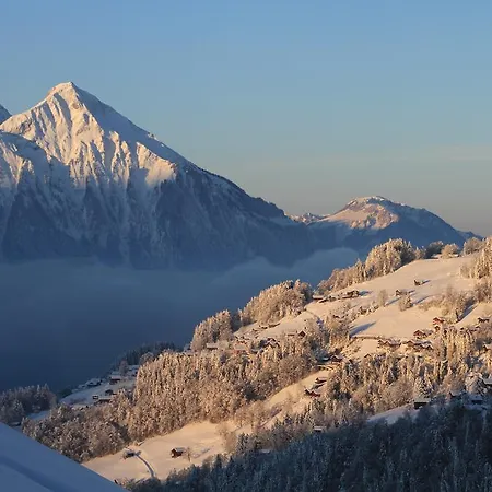 Swiss Mountain View شقة *